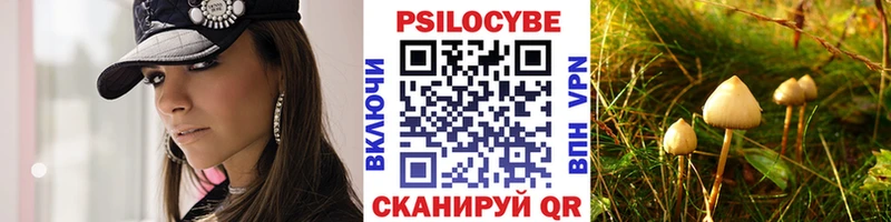 mega ONION  Нальчик  Псилоцибиновые грибы мицелий 